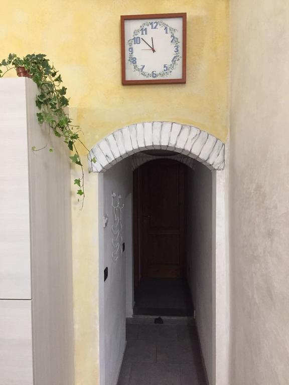Garden In Florence